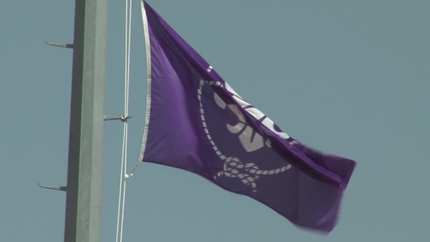 Scout purple flag waving