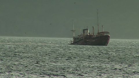 Boat shipwrecked on ocean 