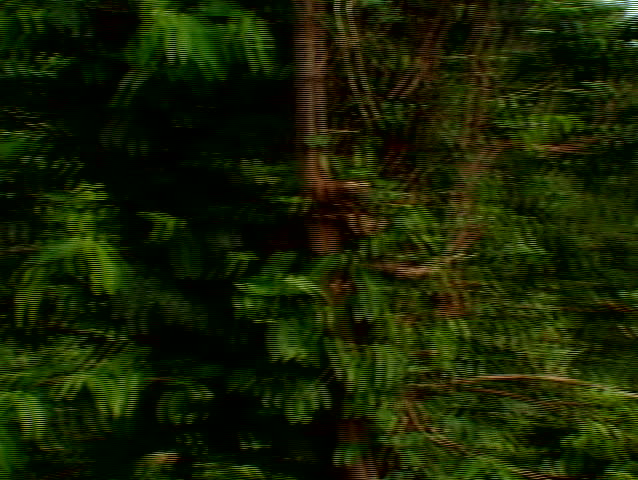 Pan and zoom into a rural shanty town, in the jungles, near Cebu City, Philippines.
