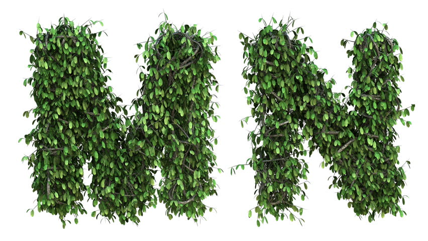  tree alphabet blowing in the wind with alpha channel