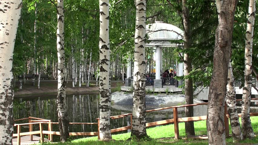 Roman Rotunda (Gazebo) by a pond in a birch grove. Russian typical.
