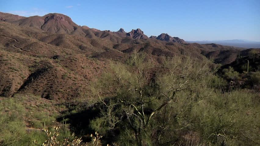 The Arizona desert.