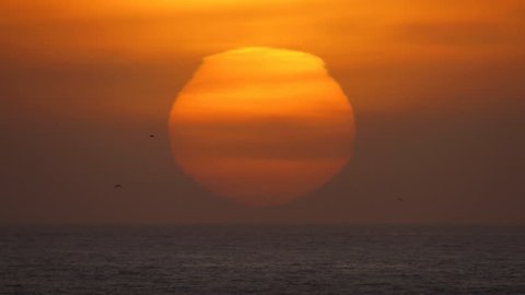 OCEAN SUNSET, an extremely LARGE beautiful orange layered sunset off the California  coast with birds passing 