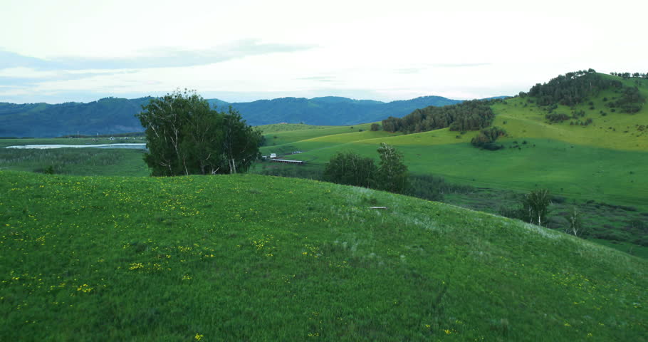 Aerial View. Flight over a green grassy rocky hills. Altai Mountains, Siberia, Russia. Summer 2013