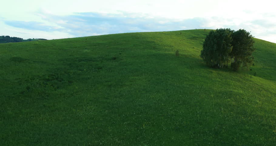 Aerial View. Flight over a green grassy rocky hills. Altai Mountains, Siberia, Russia. Summer 2013