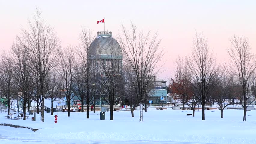 Canadian Flag on Building