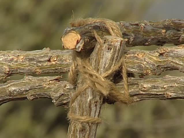 Native building a hut in Shark island
