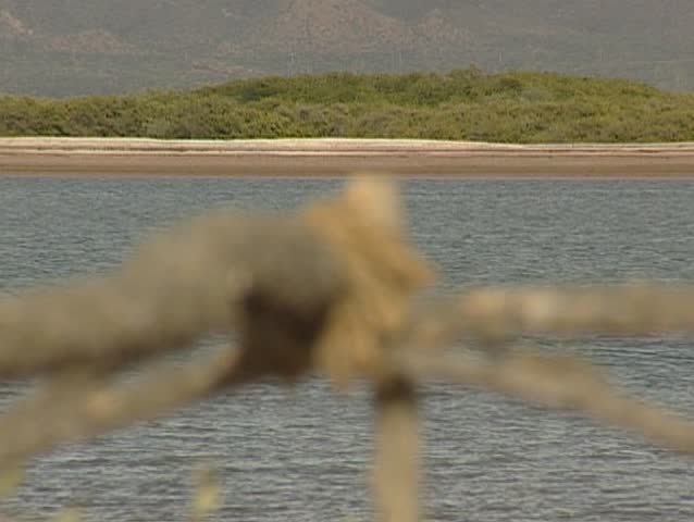 Native building a hut in Shark island