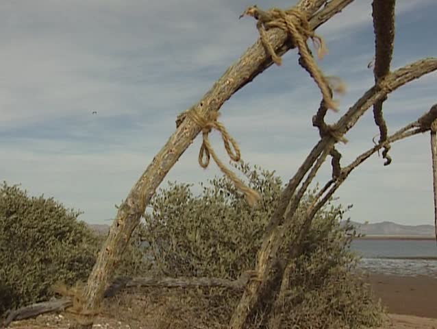 Native building a hut in Shark island