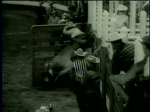 Bull riders perform and fall during their performance at Santa Rosa Roundup PRCA Rodeo in Vernon, TX circa 1958 - MGM PICTURES, UNIVERSAL-INTERNATIONAL NEWSREEL, USA, filmed in 1958