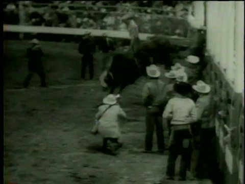 Bull rider performs and falls during his performance at Santa Rosa Roundup PRCA Rodeo in Vernon, TX circa 1958 - MGM PICTURES, UNIVERSAL-INTERNATIONAL NEWSREEL, USA, filmed in 1958