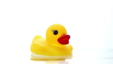 Rubber Ducky on water