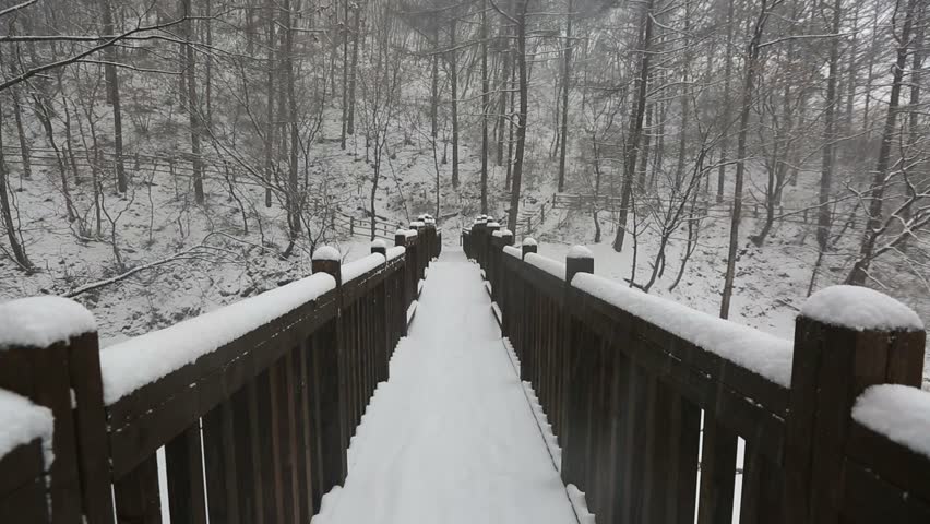 1) Video and audio of a snowy creek during winter