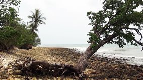 Video shot in Thailand on the coast of Koh Chang in April / Thailand Koh Chang 