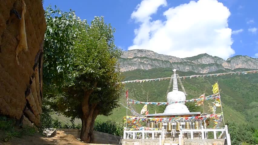 Big tree and Tibetan Buddhism white stupa, with the beautiful Gemu holy mountain in the background, Yunnan, China