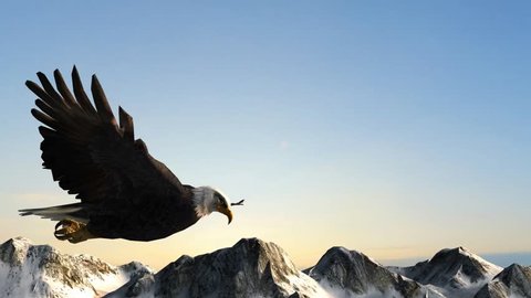 Bald Eagle Flies over Mountains