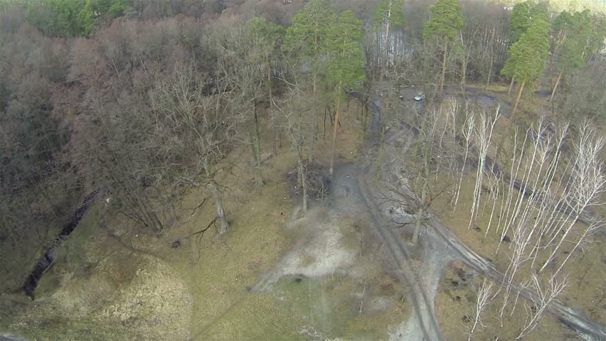   winter wood with frozen lake. Aerial top view