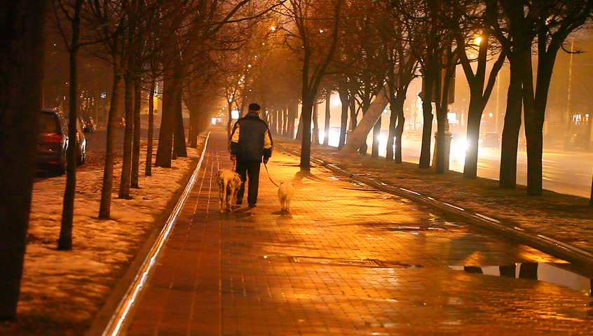 man walking with a dog at night on a city street in lamplight