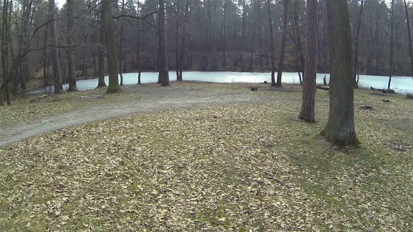 Beautiful flight in winter wood with  frozen river. Aerial 