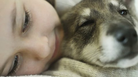 cute girl falls asleep hugging dog, close up