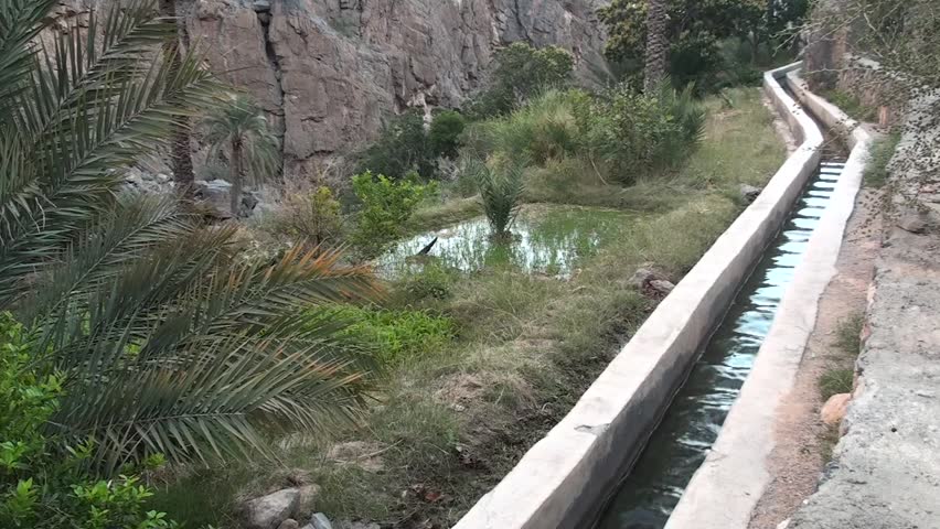 Irrigation canal system in a Montanan near Nizwah of Oman
