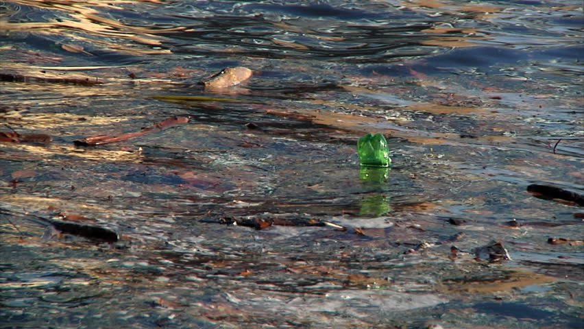 Debris floats in the water.