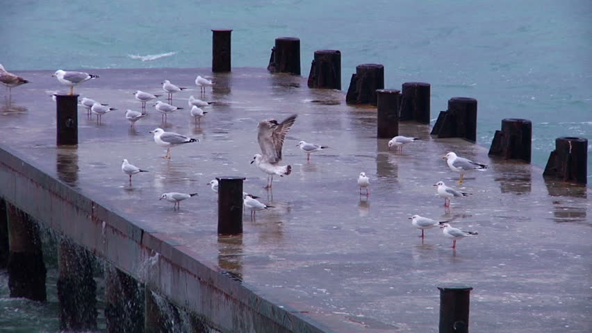 Seagulls on the pier, sea waves.