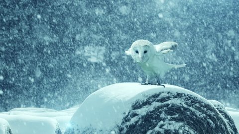 Beautiful Owl in snow storm. Slow motion 4K footage.