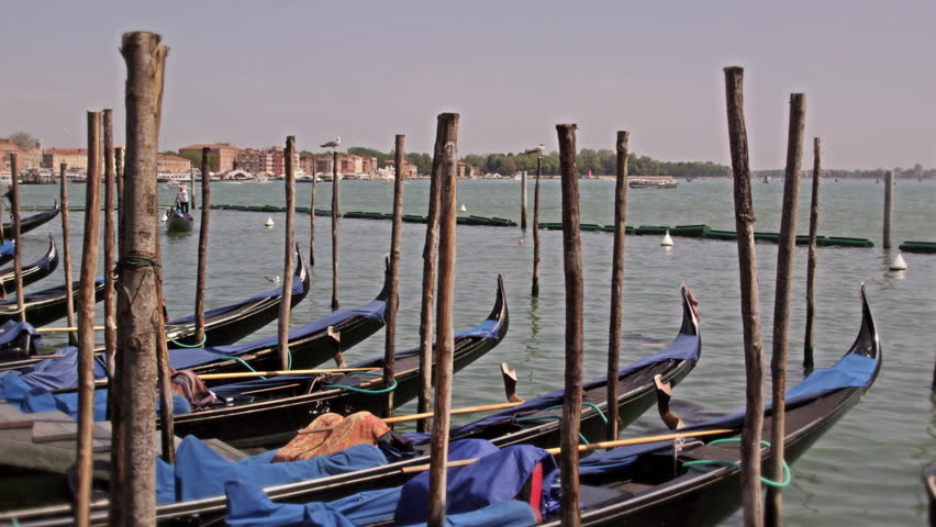 Slow motion shot as a row of gondolas bob in the water