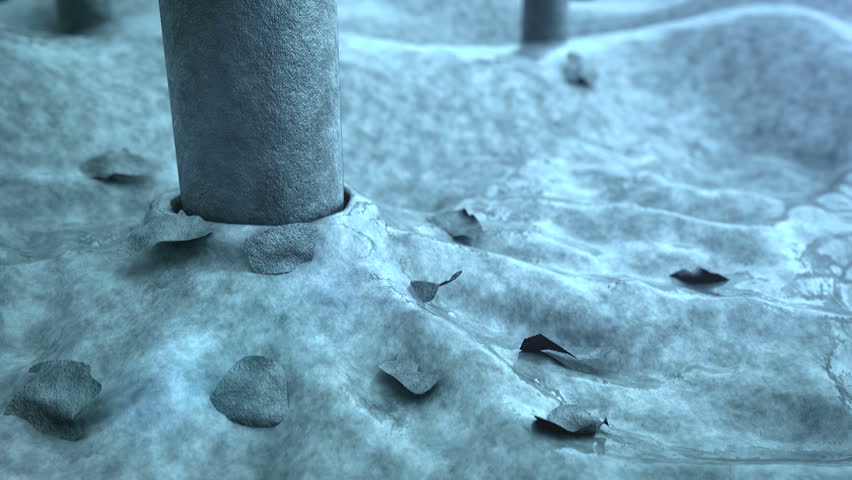 hair dandruff skin under microscope image Stock Footage Video (100% ...