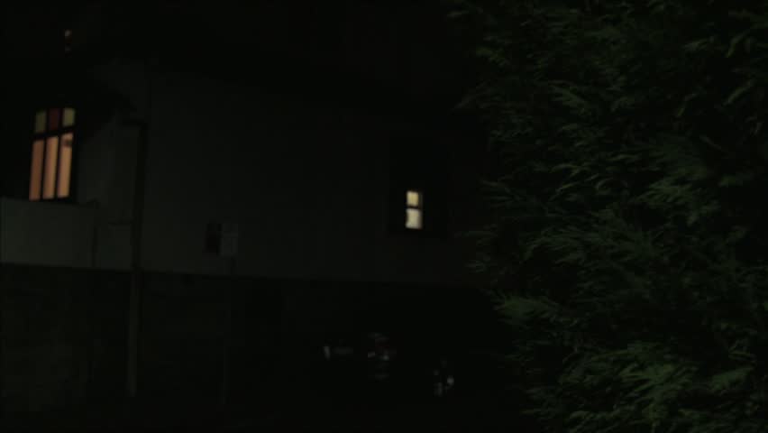 Man peeks at police lights