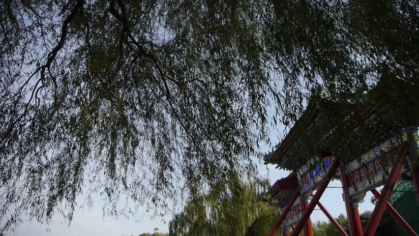 swing willow & orient ancient Memorial arch in beijing china. gh2_04860