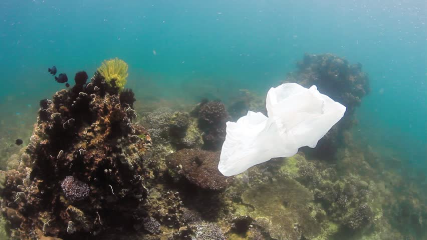 Environmental Problem - A plastic bag drifts across a damaged tropical coral reef.  Human impact, global warming and pollution are rapidly damaging the world's coral reef Royalty-Free Stock Footage #5809664