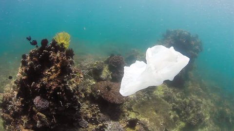 Environmental Problem - A plastic bag drifts across a damaged tropical coral reef.  Human impact, global warming and pollution are rapidly damaging the world's coral reef