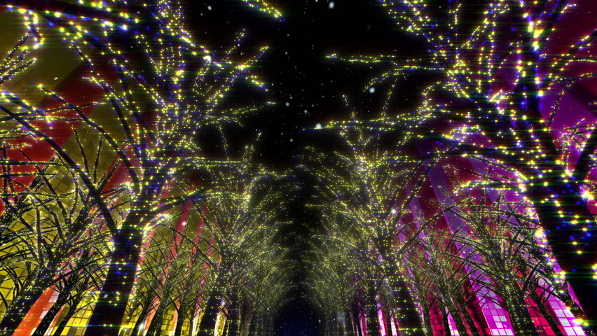 Neon Tree illumination.