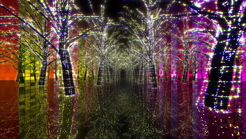 Neon Tree illumination.