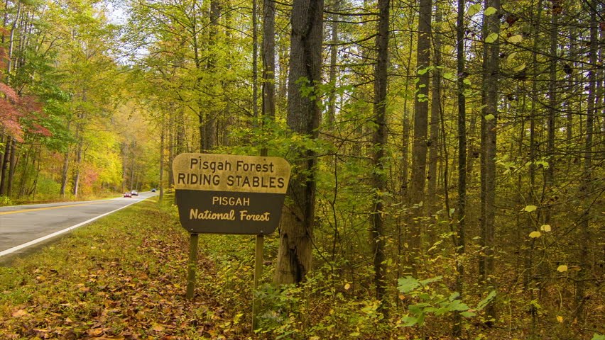 Cars Traveling in the Pisgah National Forest during Fall with an Autumn Colored Tree Canopy near Brevard and Asheville in the Blue Ridge Mountains of Western North Carolina. Sound Included.