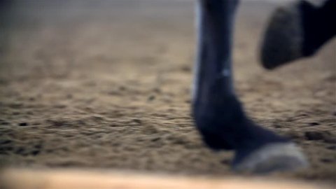 Horse Hooves Close Up Slow Motion