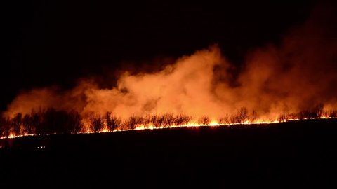 Fire In The Forest Skyline の動画素材 ロイヤリティフリー Shutterstock