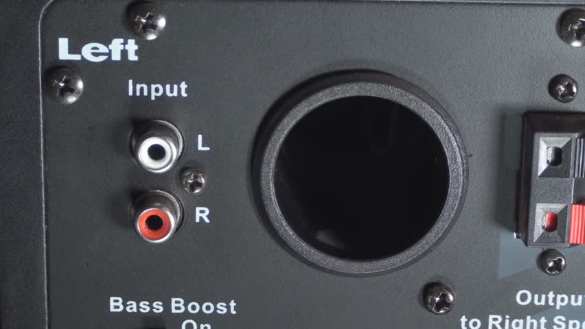 Plugging In A Left And Right Cables Into A Studio Speaker