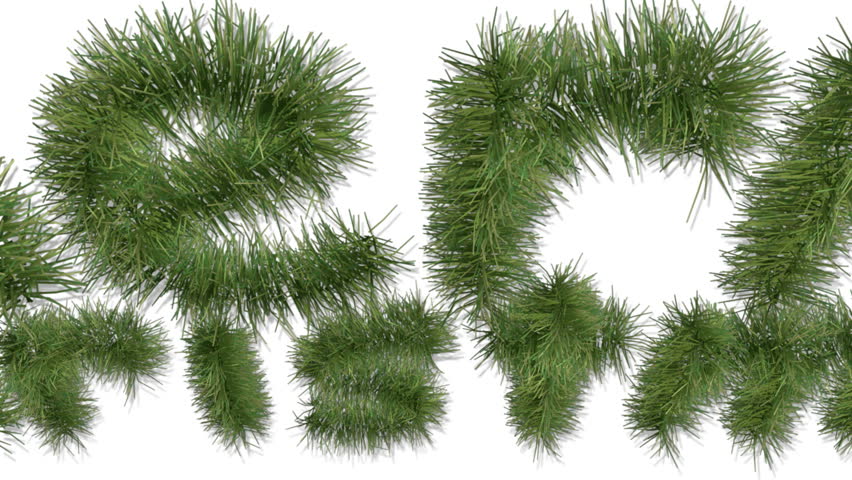 Merry Christmas with pine branch on withe background