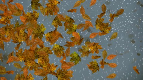 fall and snowfall motion background 2