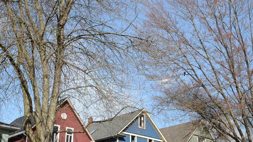 Colorful houses in Vancouver, Canada