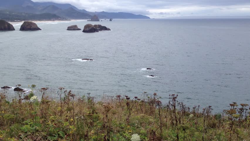 A View of Haystack Rock on Cannon Beach from Ecola State Park in Oregon USA