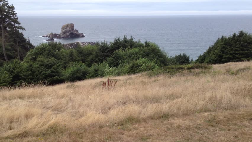 Cliff Overlooking the Ocean at Ecola State Park Oregon USA