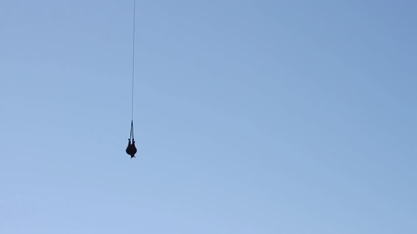Rhino hanging upside down and being airlifted by helicopter  in a rhino conservation effort. The rhino was relocated from a remote area to a safer one in an anti poaching initiative.  Royalty-Free Stock Footage #5865887