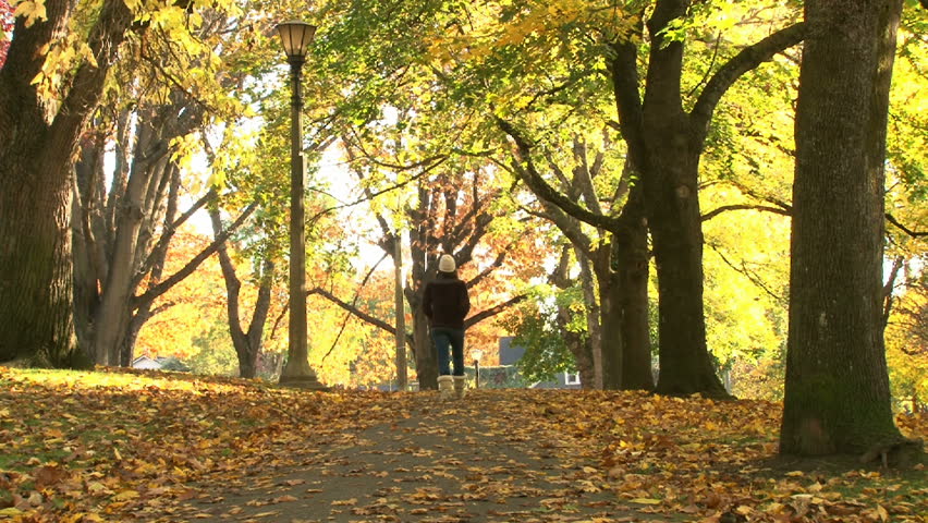 Woman walks down path full of fallen leaves in Portland Oregon park.