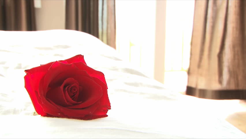 Red rose lays on white linen bed at resort.