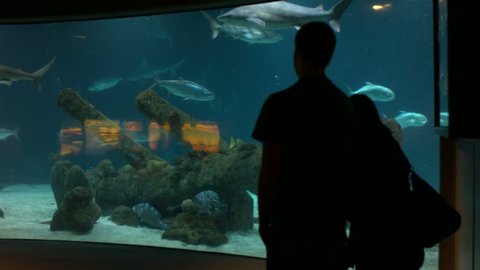 a young couple watching fish swim in a giant aquarium.