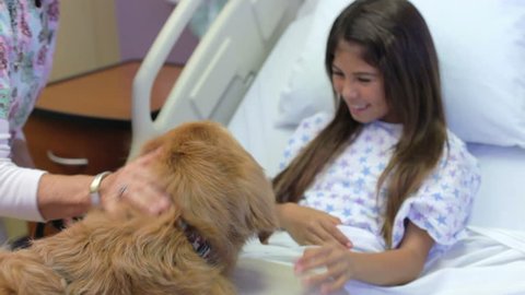 Handler brings therapy dog into girl patient's room and he jumps onto bed to be stroked.